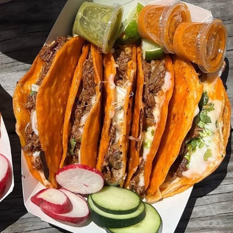 Quesabirria: A Flavorful Mexican Fusion Delight